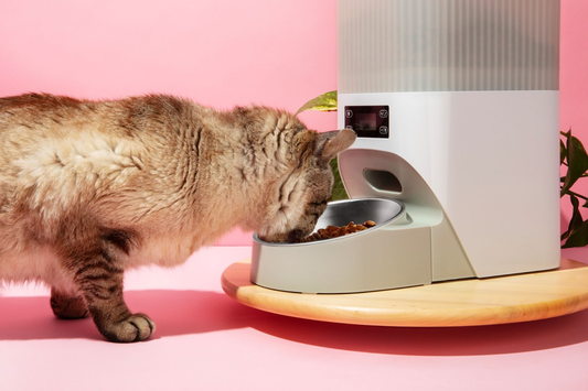 Accesorios inteligentes para mascotas
