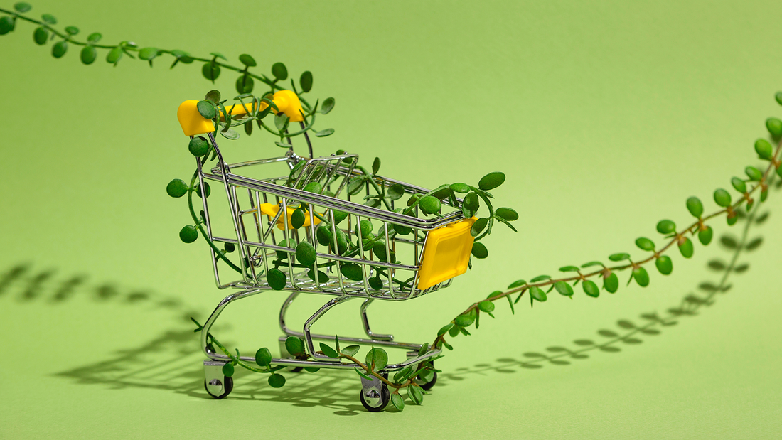 Sostenibilidad en el E-commerce: ¿Cómo ser un comprador responsable en la era del clic?