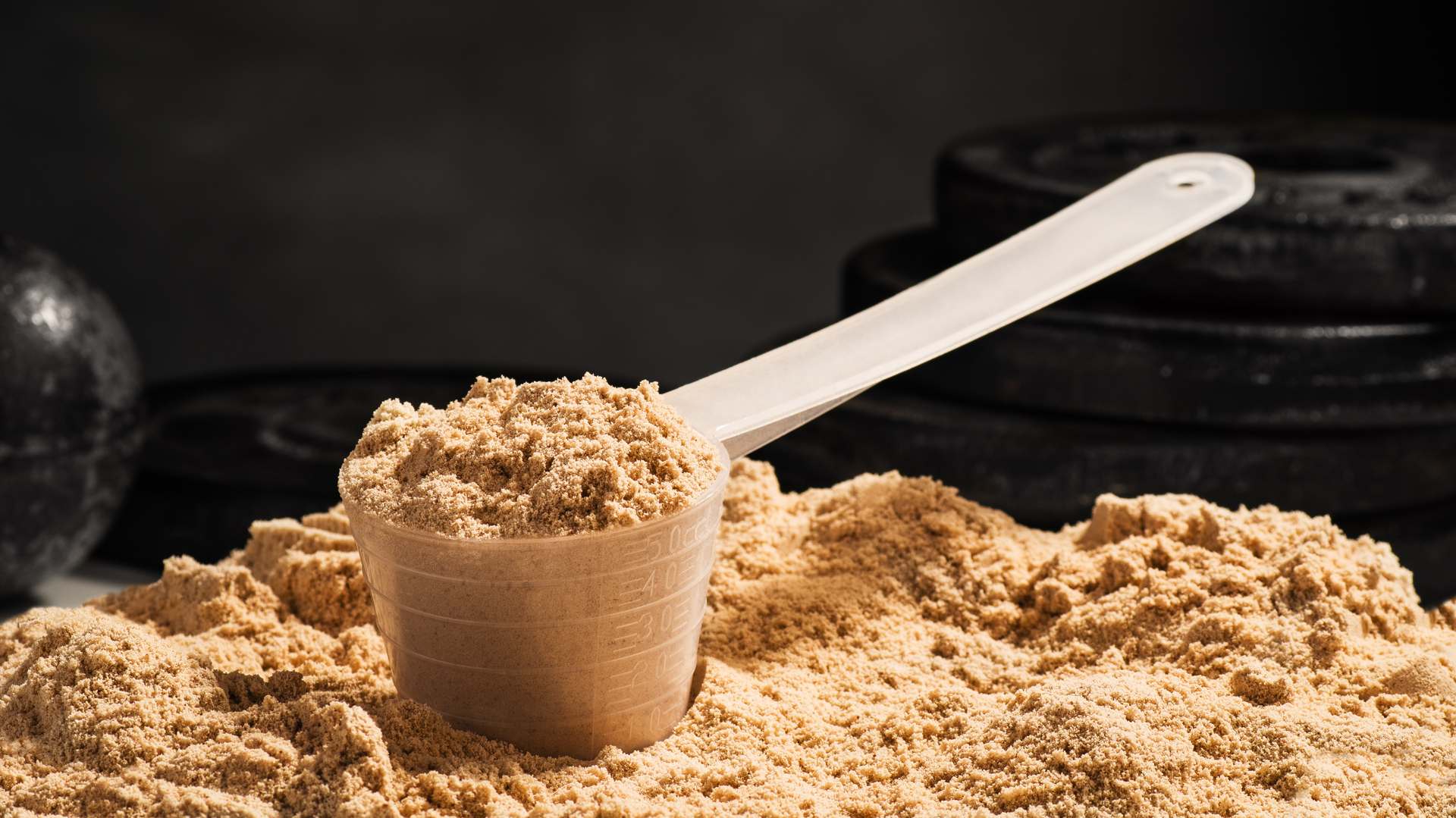 Proteína Vegetal vs. Whey: ¿Cuál es la mejor inversión para tus músculos y tu salud en 2026?