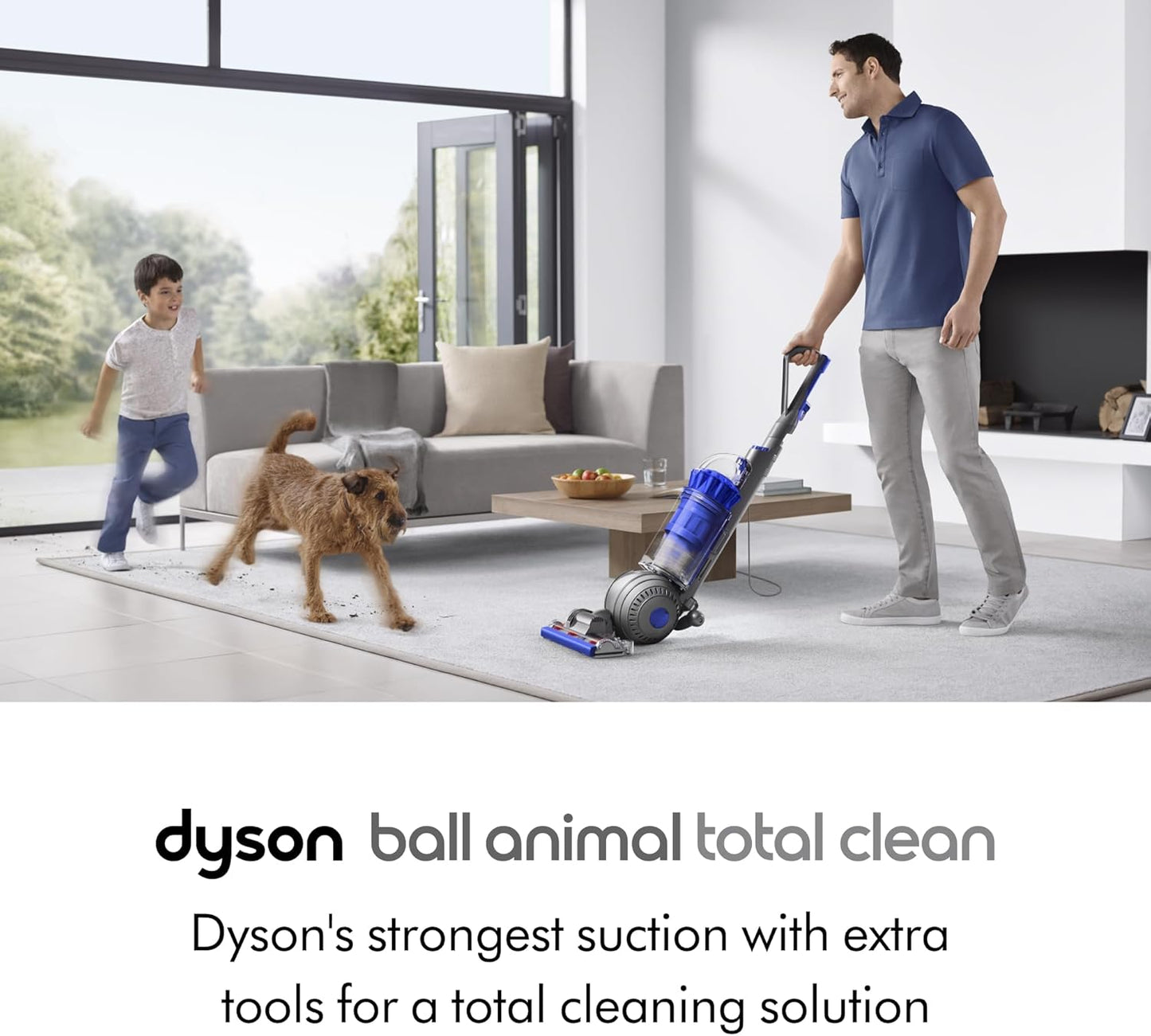 Dyson Ball Animal 2 Total Clean Upright Vacuum, Iron/Blue