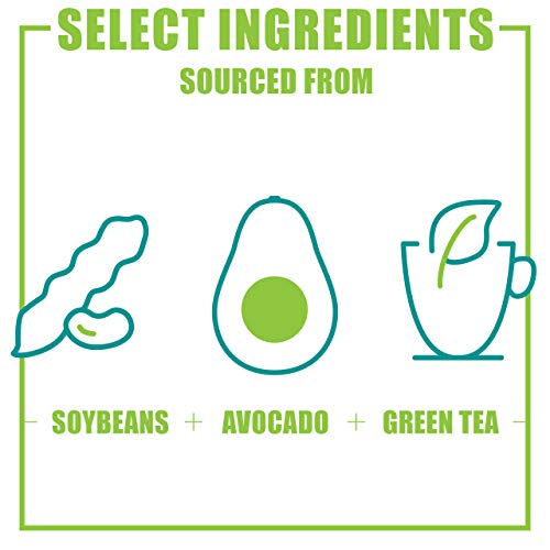 Nutramax Dasuquin MSM 84 Chews Salud articular perros