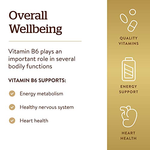 Vitamina B6 Solgar 100 mg - Suplemento dietetico 100 tabletas