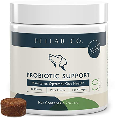 PetLab Co. Probiotic Chews PBC – Suplemento Canino (30 masticables)
