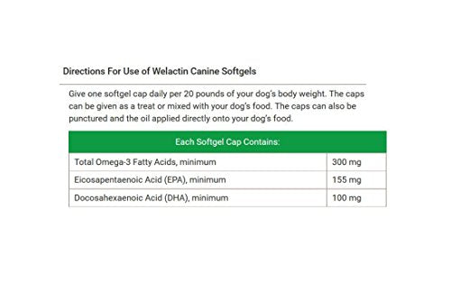 Nutramax Welactin Omega 3 de 16oz Aceite salmon piel y articulaciones perros