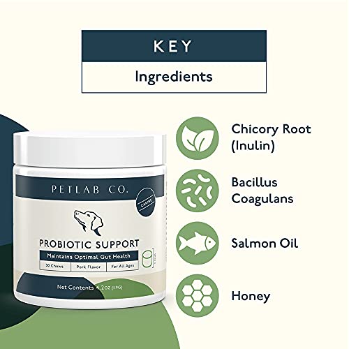 PetLab Co. Probiotic Chews PBC – Suplemento Canino (30 masticables)