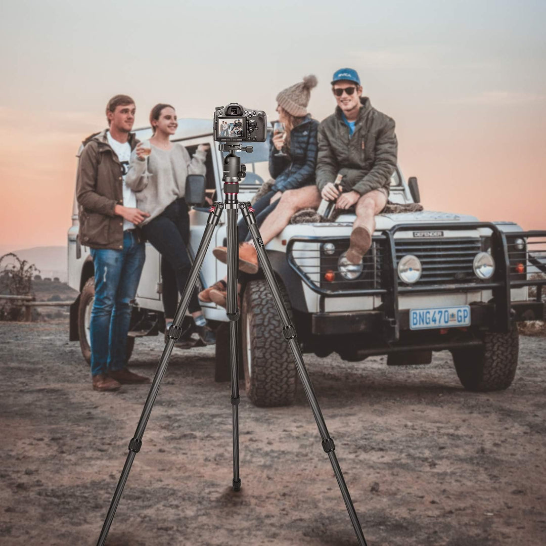 NEEWER 66"/168Cm Carbon Fiber Tripod for Camera with 360° Panorama Ball Head, 1/4" Arca QR Plate, Portable Bag, Compact Travel Tripod Monopod for DSLR Video Camcorder, Max Load 26.5Lb/12Kg, N55C