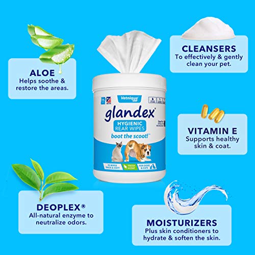 Vetnique Glandex 75 Toallitas higienicas perros y gatos con aloe y vitamina E