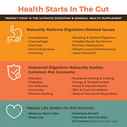 Bernie Perfect Poop 12.8 oz Suplemento digestivo perros con probioticos y fibra