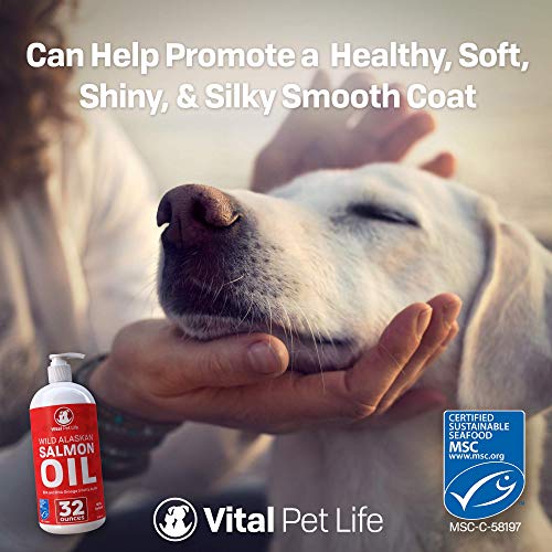 Aceite de salmon Vital Pet Life perros y gatos 32 oz