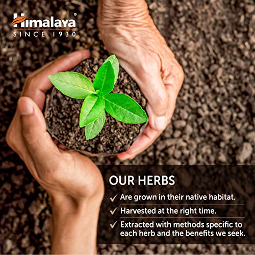 Shatavari Orgánico Himalaya 1.300 mg - 60 cápsulas vegetales