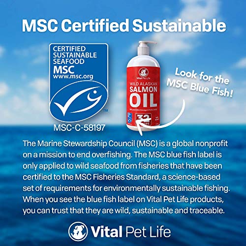 Aceite de salmon Vital Pet Life perros y gatos 32 oz