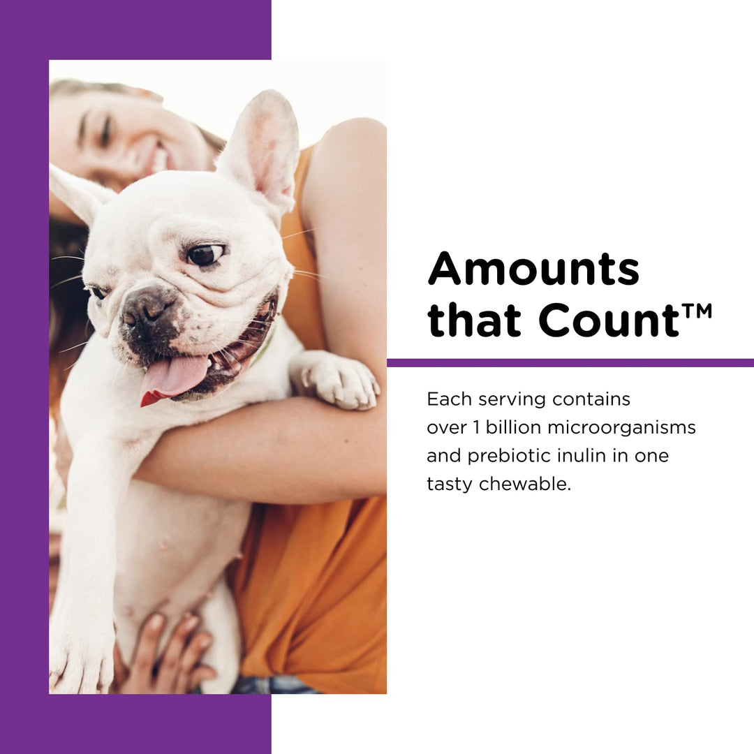 Nutri-Vet Pre & Probiotic 120 Chews Suplemento digestivo perros