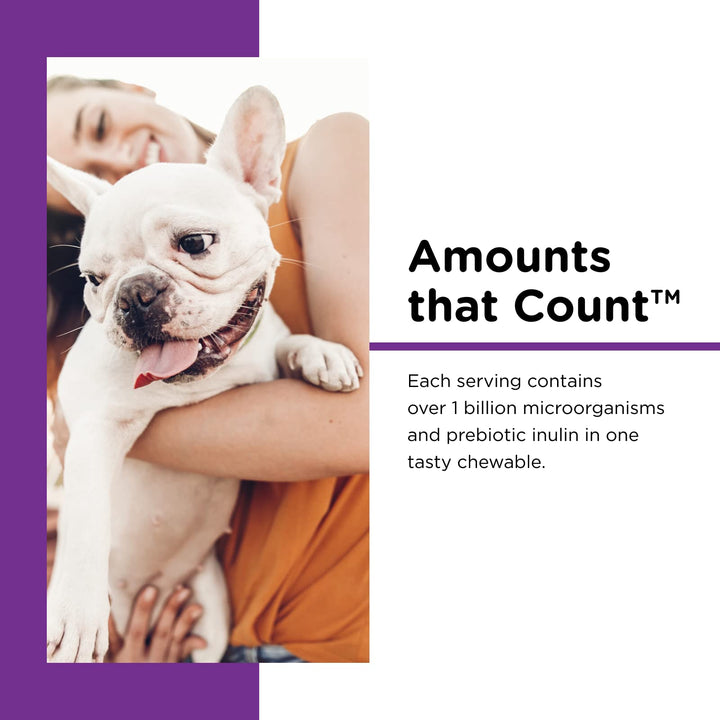 Nutri-Vet Pre & Probiotic 120 Chews Suplemento digestivo perros