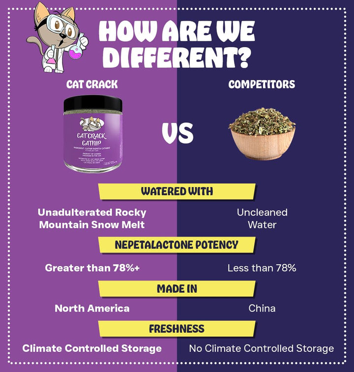 Hierba gatera Cat Crack Catnip natural estimulante gatos 1 taza