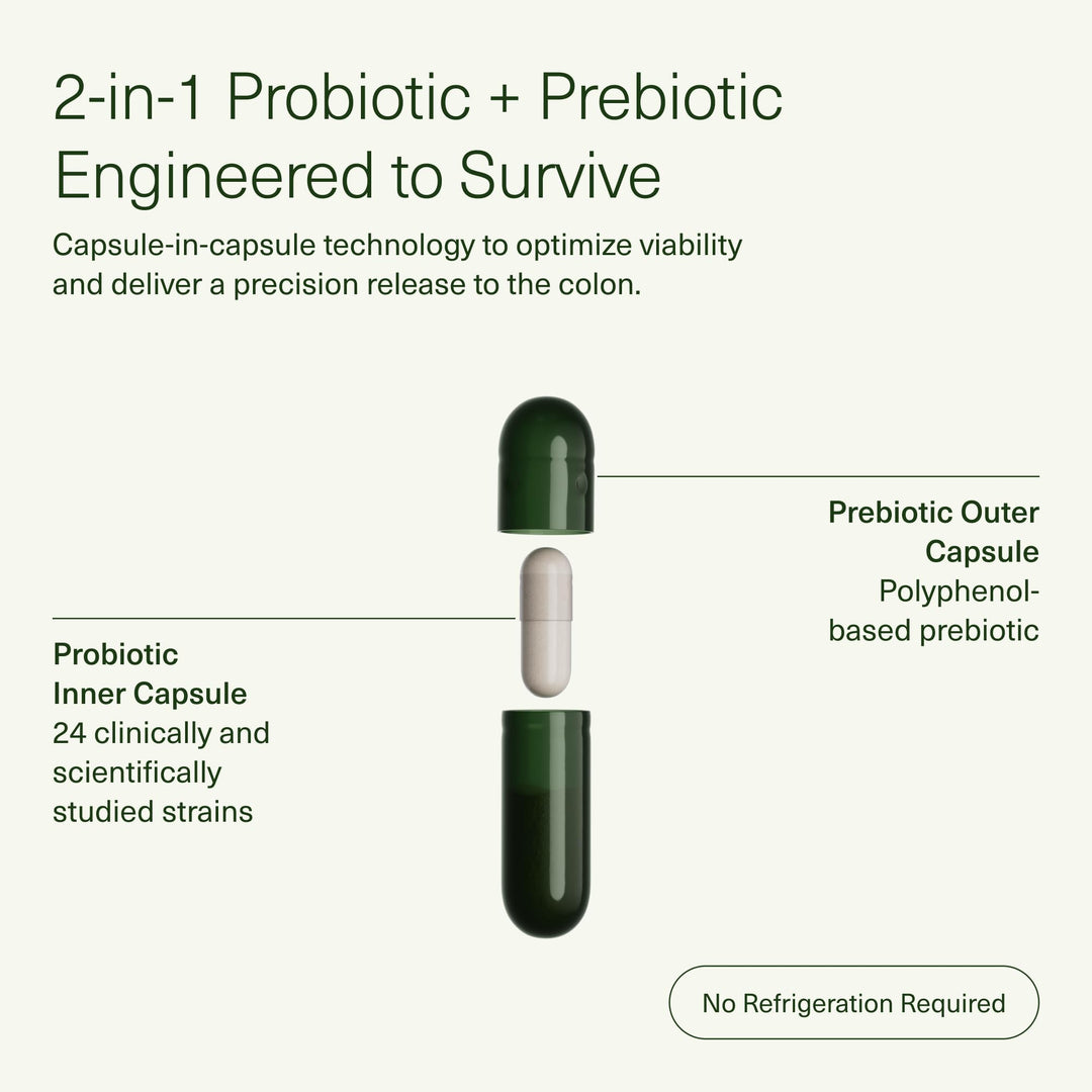 Seed DS-01 Daily Synbiotic – Probiótico + Prebiótico 60 cápsulas