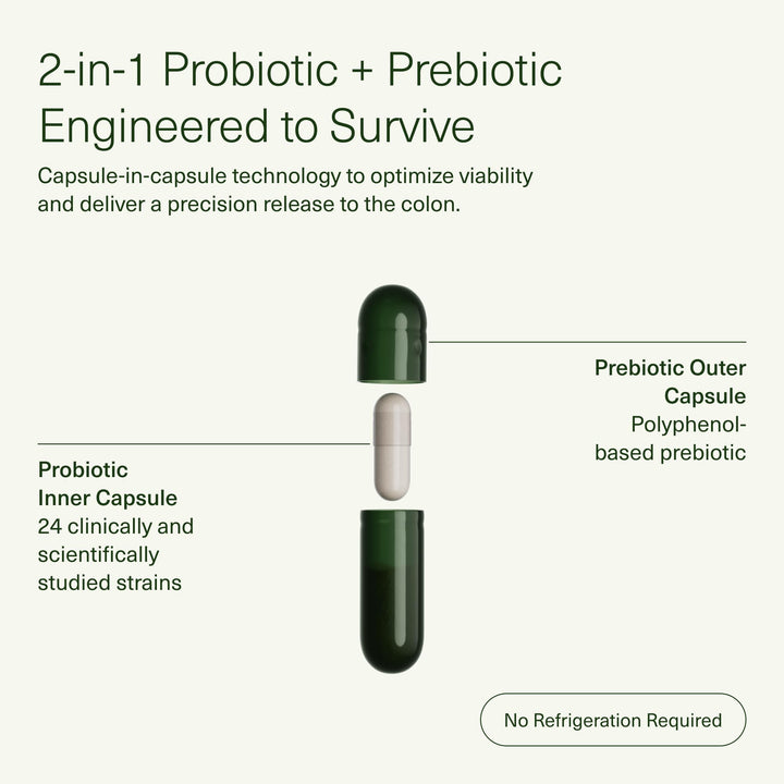 Seed DS-01 Daily Synbiotic – Probiótico + Prebiótico 60 cápsulas