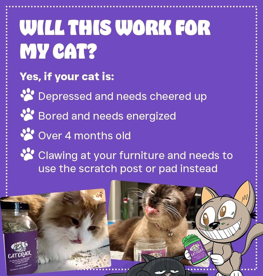 Hierba gatera Cat Crack Catnip natural estimulante gatos 1 taza