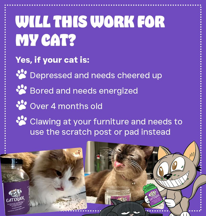 Hierba gatera Cat Crack Catnip natural estimulante gatos 1 taza