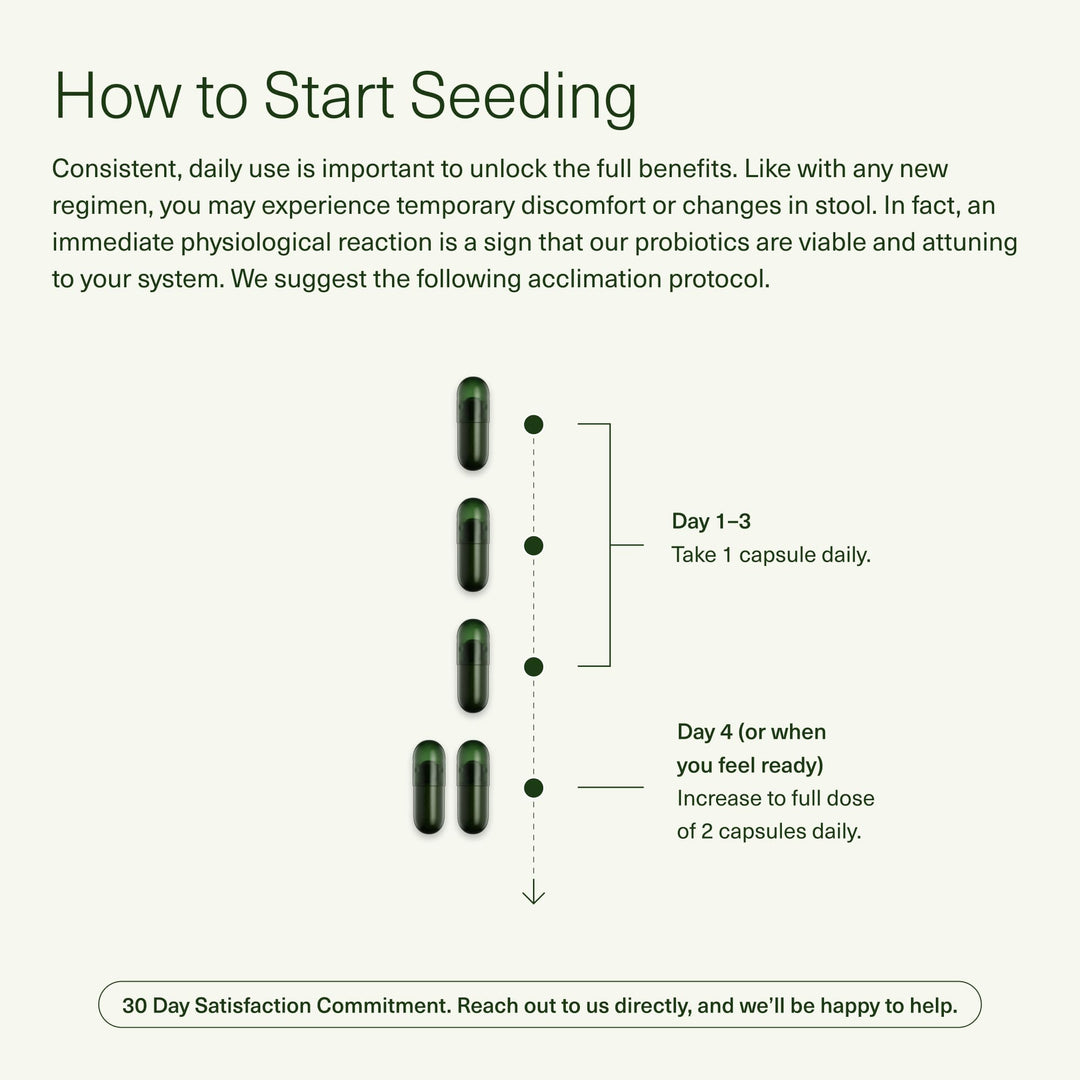 Seed DS-01 Daily Synbiotic – Probiótico + Prebiótico 60 cápsulas