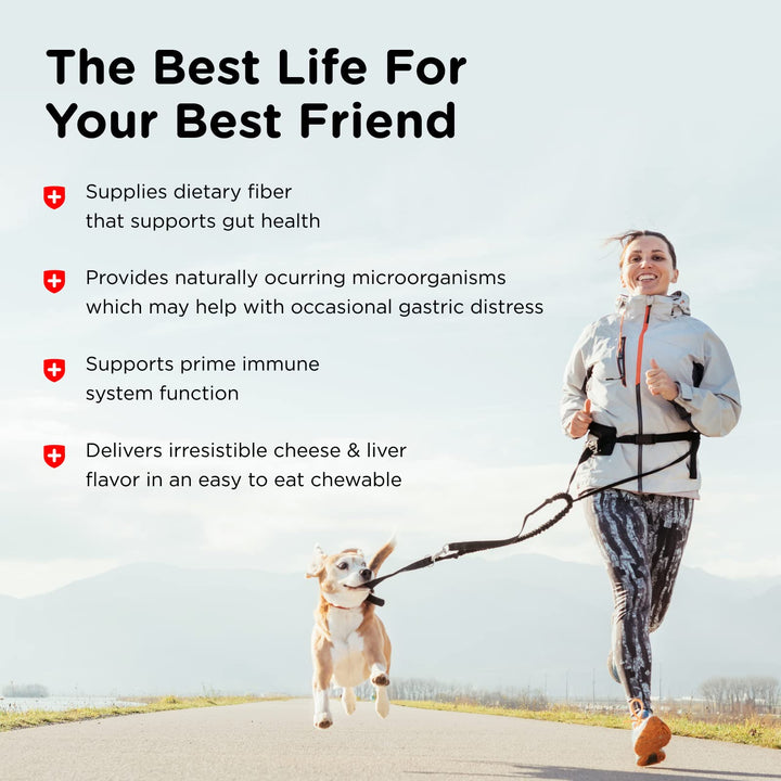 Nutri-Vet Pre & Probiotic 120 Chews Suplemento digestivo perros