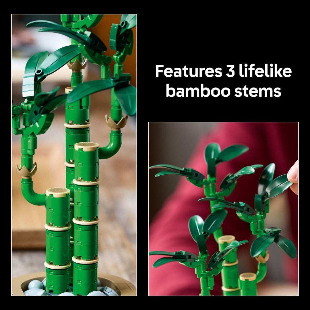 LEGO 10344 Botanicals Bambu de la Suerte Decorativo
