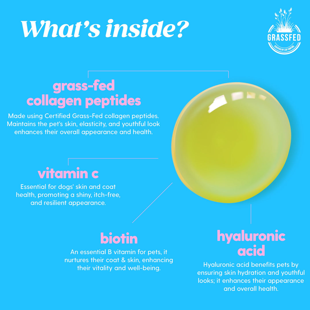 Colageno liquido Taily mascotas con biotina y acido hialuronico 4 oz