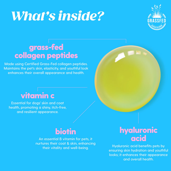 Colageno liquido Taily mascotas con biotina y acido hialuronico 4 oz