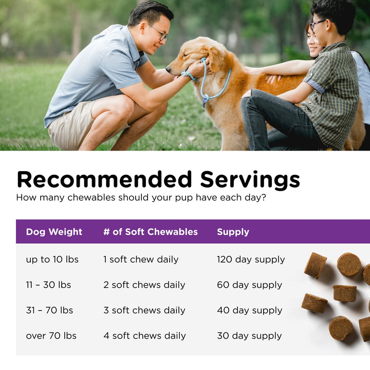 Nutri-Vet Pre & Probiotic 120 Chews Suplemento digestivo perros