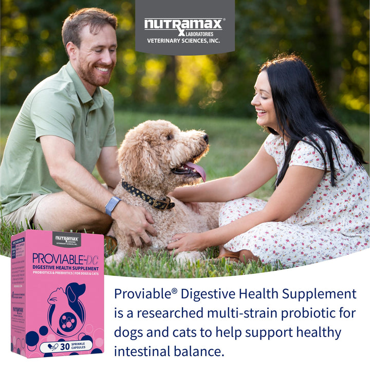 Nutramax Proviable – Probiótico Multi-Strain para Perros y Gatos
