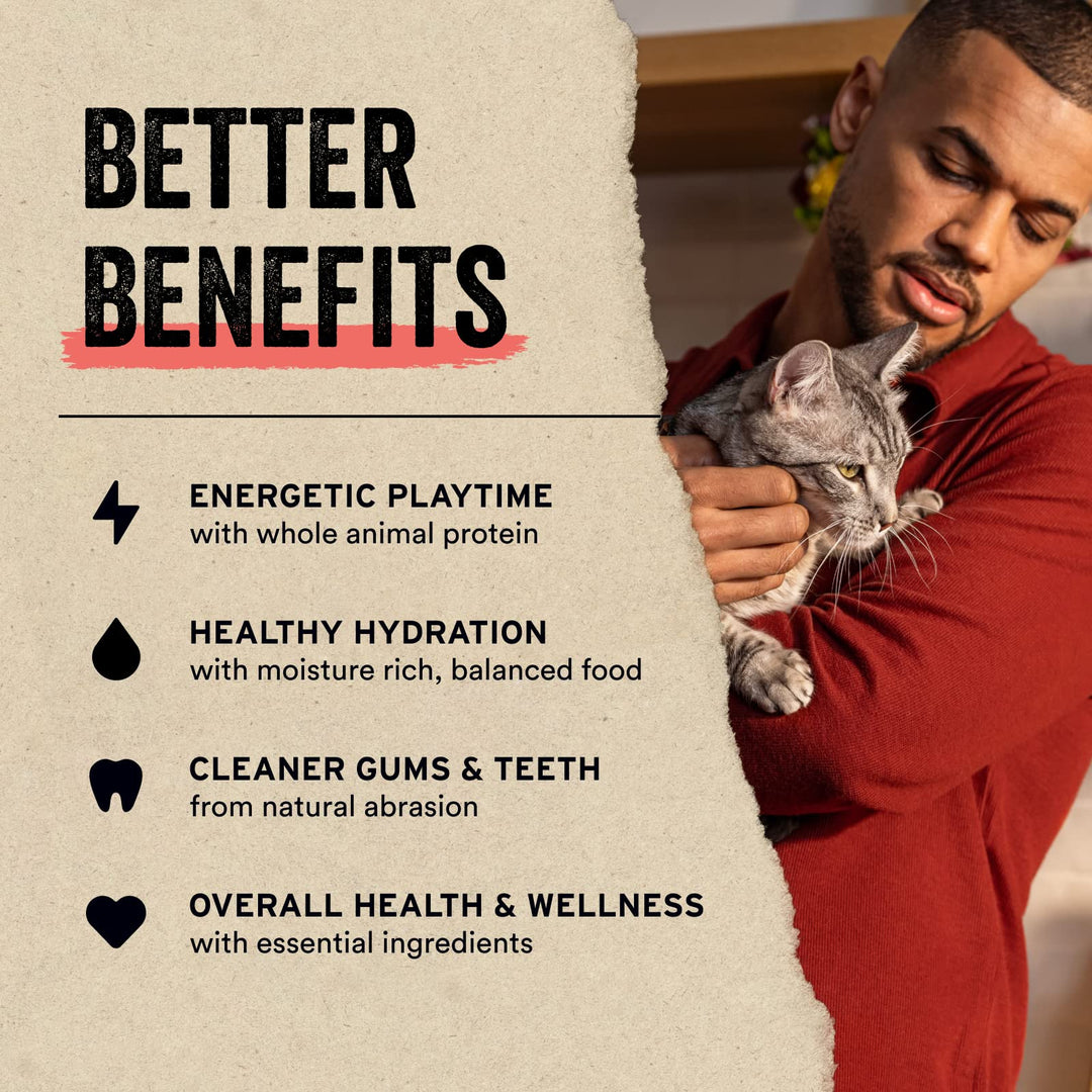 Snacks Vital Essentials Minnows gatos liofilizados 0.5 oz