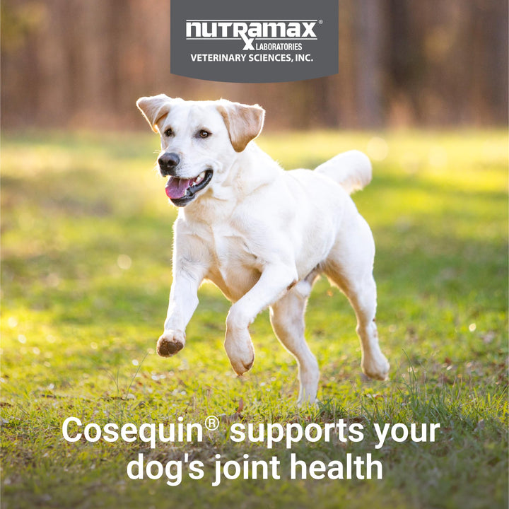 Nutramax Cosequin DS Plus MSM – Suplemento para Articulaciones Perros (132 tabl.)