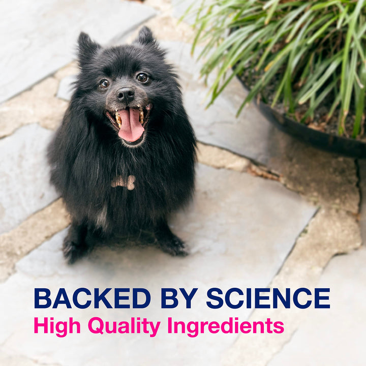 Nutramax Proviable 60 Tabs Probiotico digestivo perros