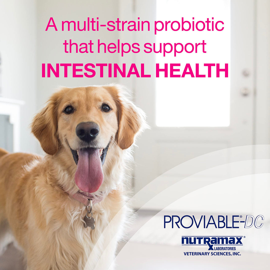 Nutramax Proviable 60 Tabs Probiotico digestivo perros