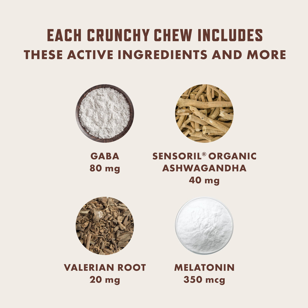 Suplemento calmante Rocco & Roxie gatos melatonina sabor pollo