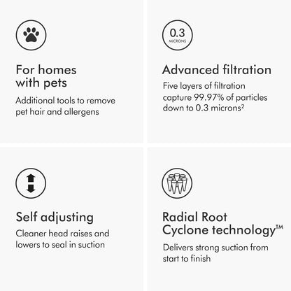 Dyson Ball Animal 2 Total Clean Upright Vacuum, Iron/Blue