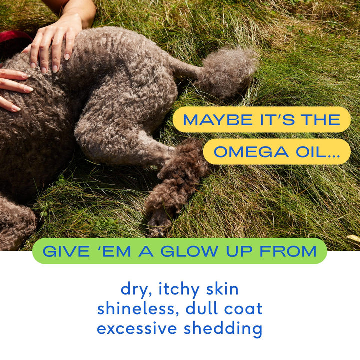 Native Pet Omega 3 8 oz Aceite de salmon piel y articulaciones