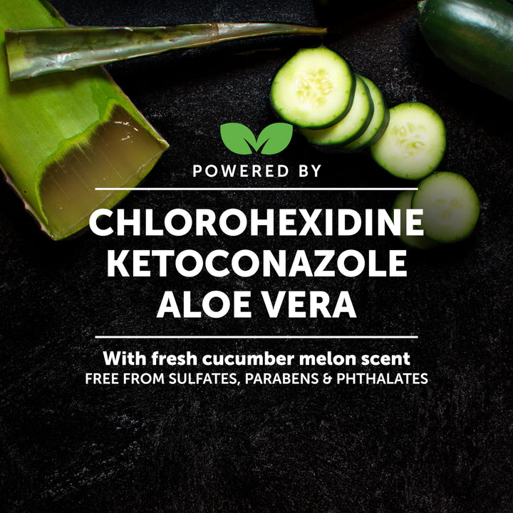 Shampoo Pet Honesty clorhexidina perros y gatos 16 oz