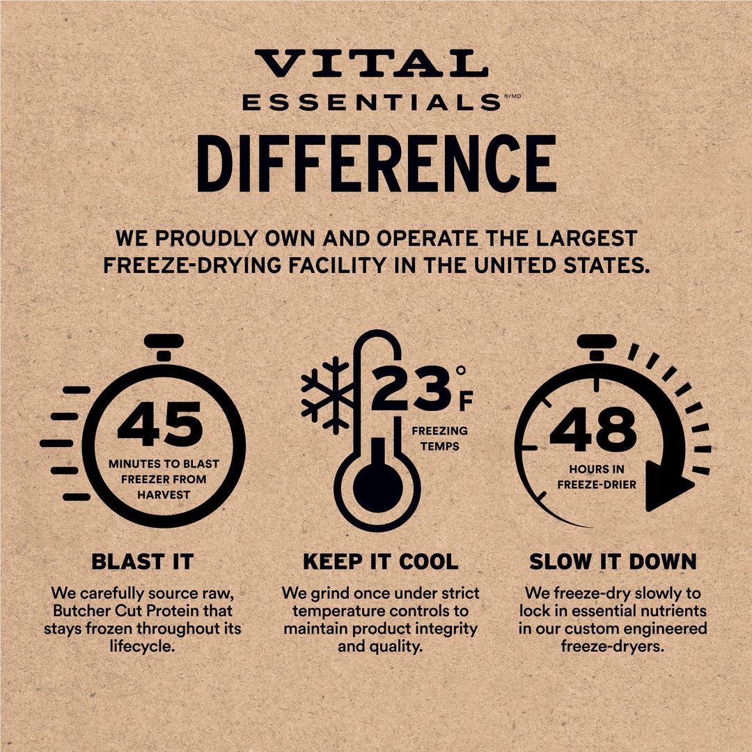 Snacks Vital Essentials gatos bites salmon liofilizado 1.1 oz