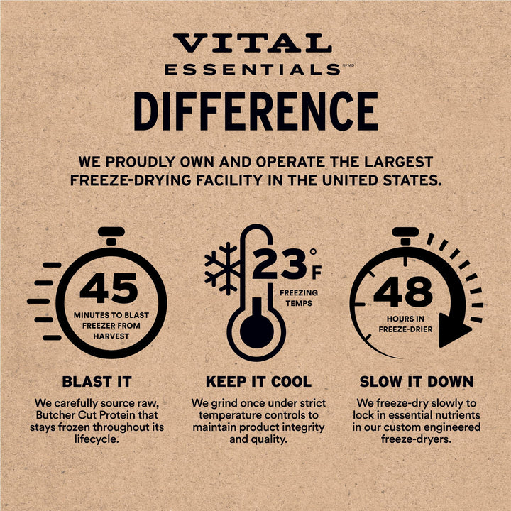 Snacks Vital Essentials gatos bites salmon liofilizado 1.1 oz