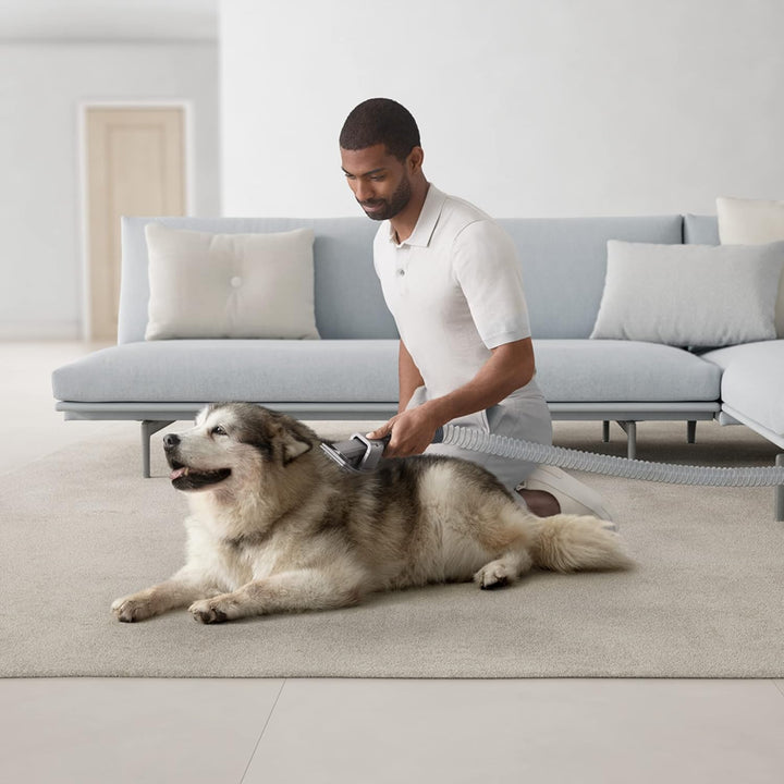 Dyson Ball Animal 3 Extra Upright Vacuum Cleaner