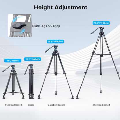 SIRUI AM-25S Video Tripod, 74.8" Professional Heavy Duty Tripod with Adjustable Damping Fluid Head for Camcorder, Cameras, DSLR, 360° Pan & +90°/-75° Tilt, Quick Release Plate, Max Load 22.0Lb