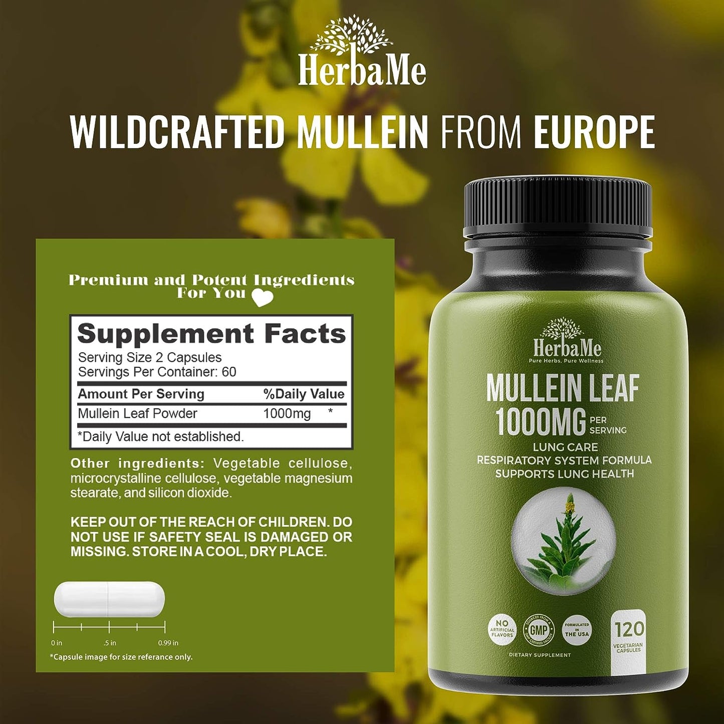 Mullein Leaf 1000Mg, 120 Capsules, Lung Detox for Smokers, Lung Cleanse Supplement, Supports Respiratory Function Health, Promotes Mucous Membranes | Ear Health, Mucus Relief Herbal Pills