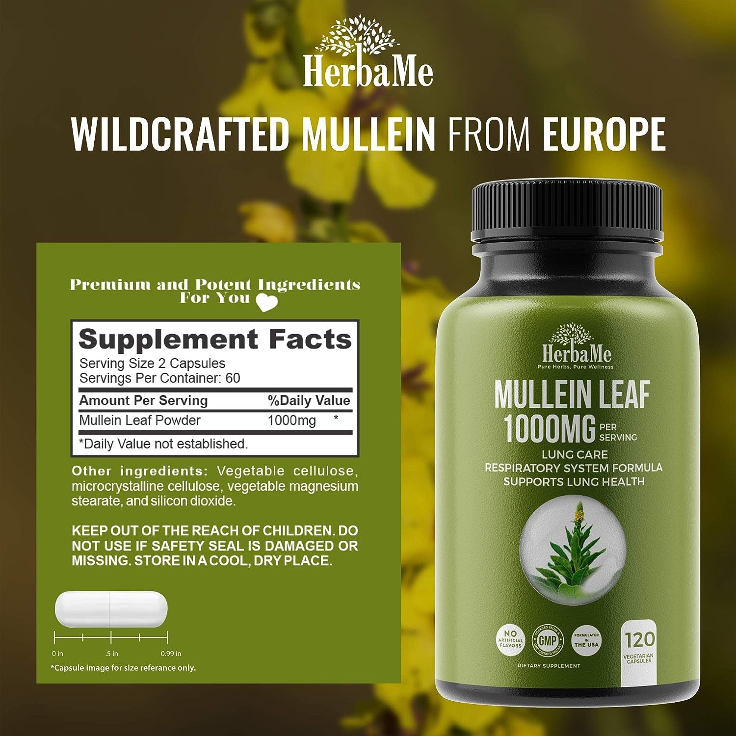 Mullein Leaf 1000Mg, 120 Capsules, Lung Detox for Smokers, Lung Cleanse Supplement, Supports Respiratory Function Health, Promotes Mucous Membranes | Ear Health, Mucus Relief Herbal Pills