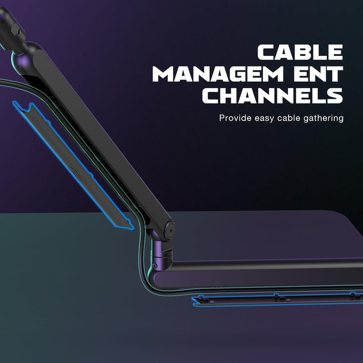 FIFINE Microphone Boom Arm, Low Profile Adjustable Stick Microphone Arm Stand with Desk Mount Clamp, Screw Adapter, Cable Management, for Podcast Streaming Gaming Studio-Bm88