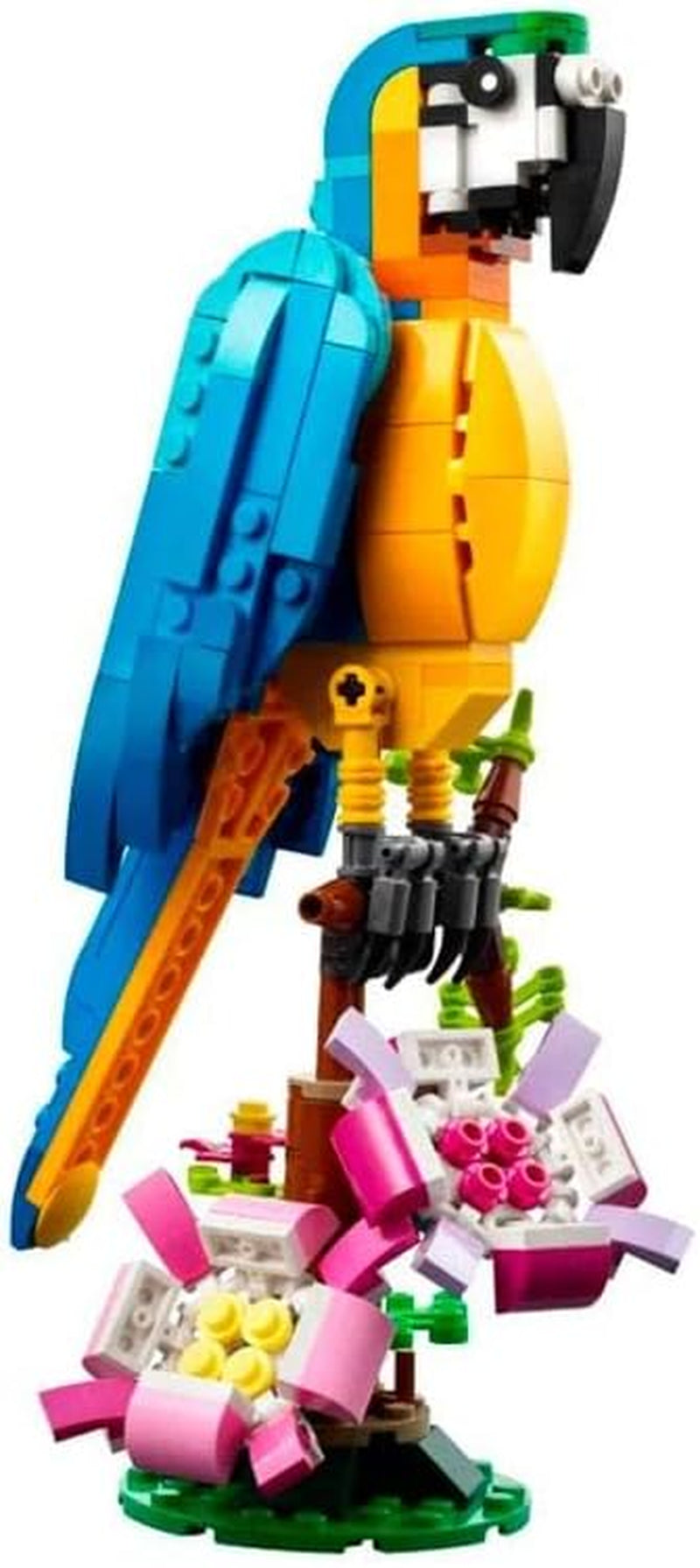 LEGO Creator 3 in 1 Exotic Parrot Building Toy Set, Transforms to 3 Different Animal Figures - from Colorful Parrot, to Swimming Fish, to Cute Frog, Creative Toys for Kids Ages 7 and Up, 31136