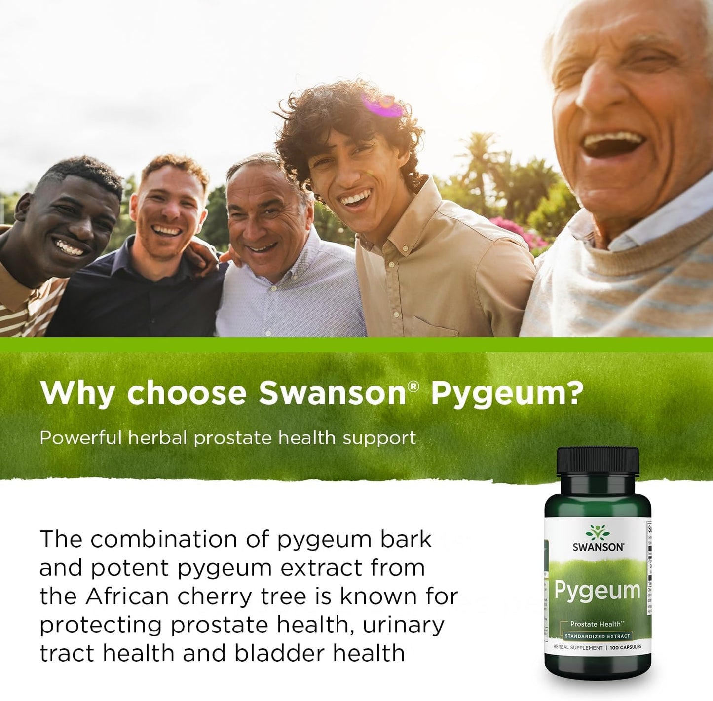 Swanson Pygeum - Herbal Supplement Promoting Male Prostate Health, Bladder, and Urinary Tract Health Support - Mens Health Supplement - (100 Capsules, 125Mg Each)