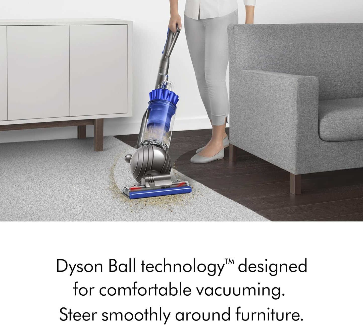 Dyson Ball Animal 2 Total Clean Upright Vacuum, Iron/Blue