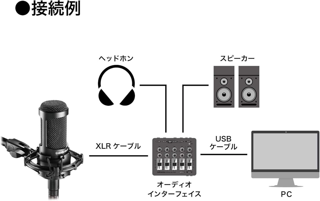 Audio-Technica AT2035 Cardioid Condenser Microphone, Black