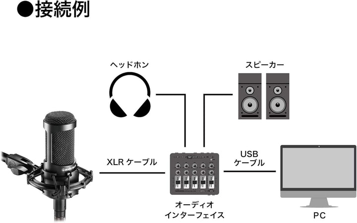 Audio-Technica AT2035 Cardioid Condenser Microphone, Black